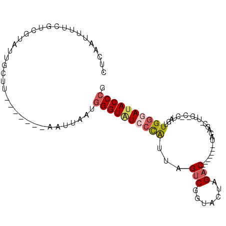 secondary structure