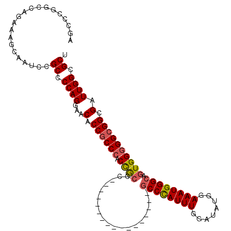 secondary structure