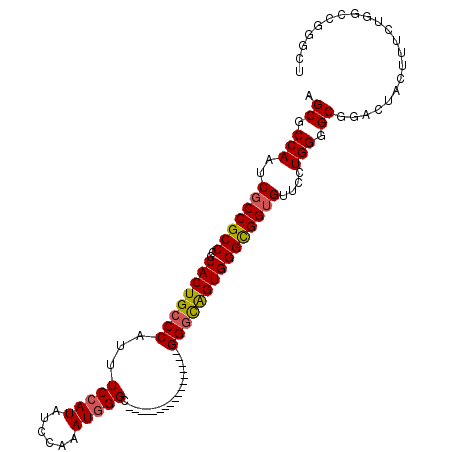 secondary structure