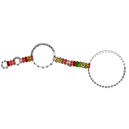 secondary structure