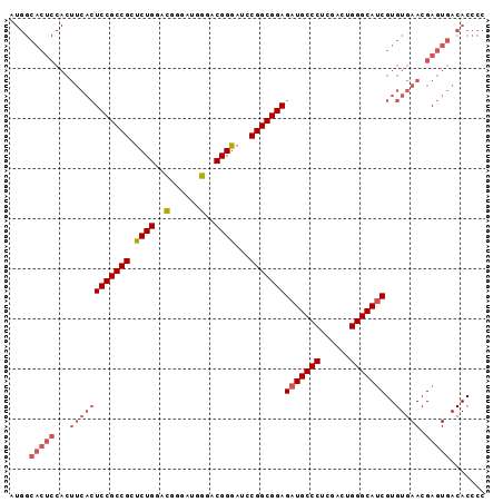 dotplot