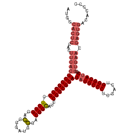 secondary structure
