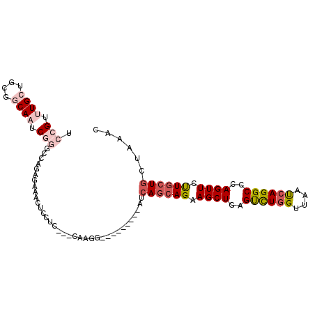 secondary structure