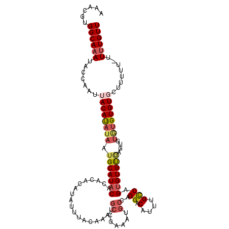 secondary structure
