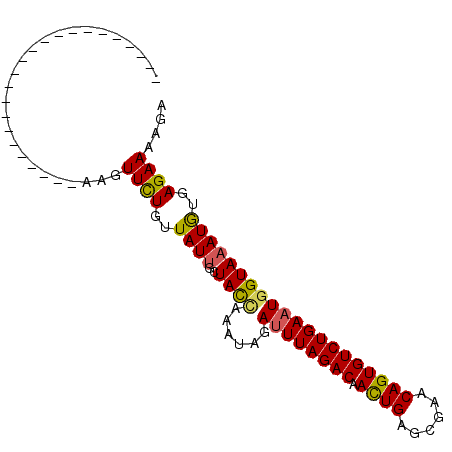 secondary structure