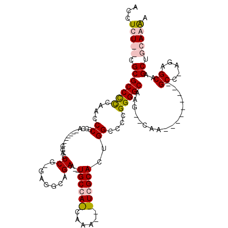secondary structure