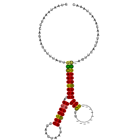 secondary structure