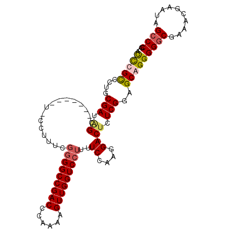 secondary structure