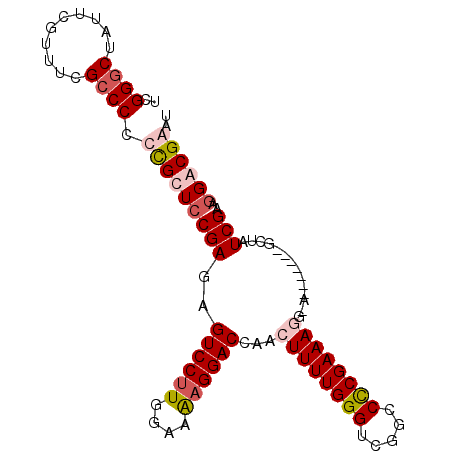 secondary structure