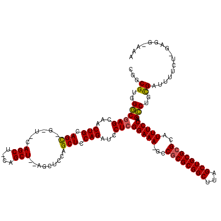 secondary structure