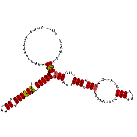 secondary structure