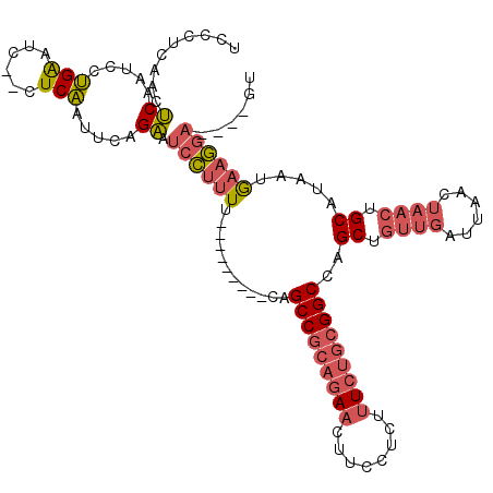 secondary structure