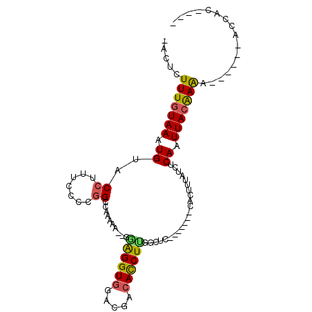 secondary structure