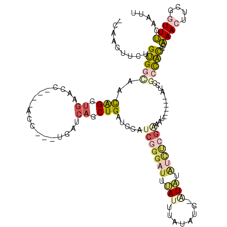 secondary structure