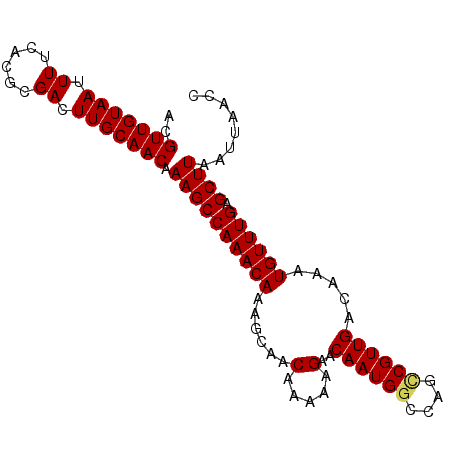 secondary structure