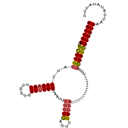 secondary structure