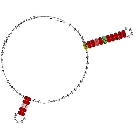 secondary structure