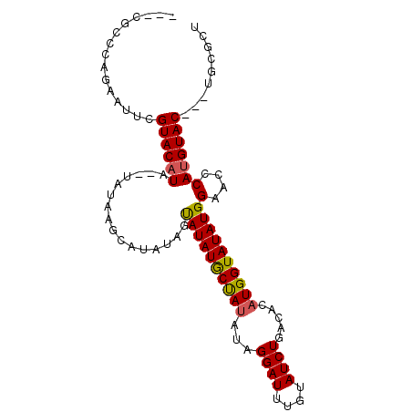 secondary structure