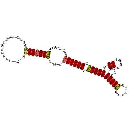 secondary structure