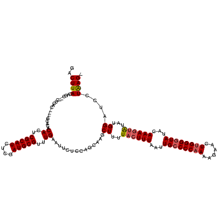 secondary structure