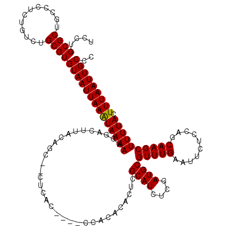secondary structure