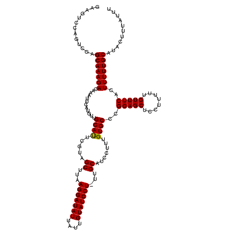 secondary structure