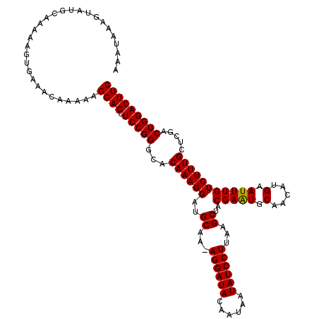 secondary structure