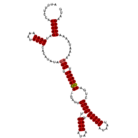 secondary structure