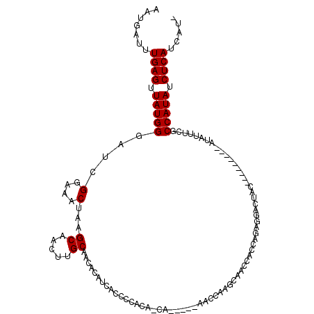secondary structure