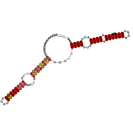 secondary structure
