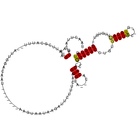 secondary structure
