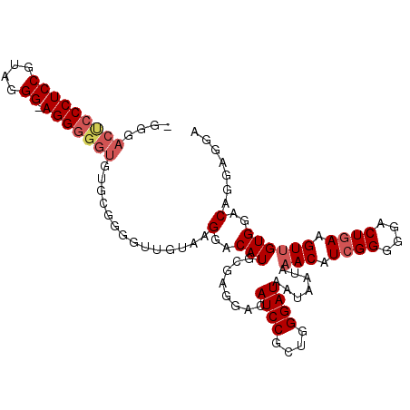 secondary structure