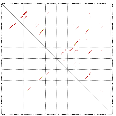dotplot
