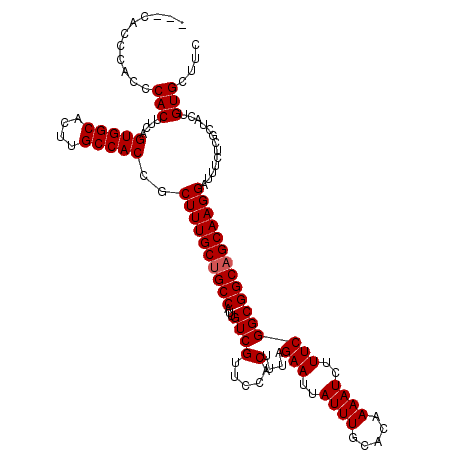 secondary structure