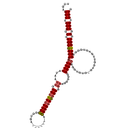 secondary structure