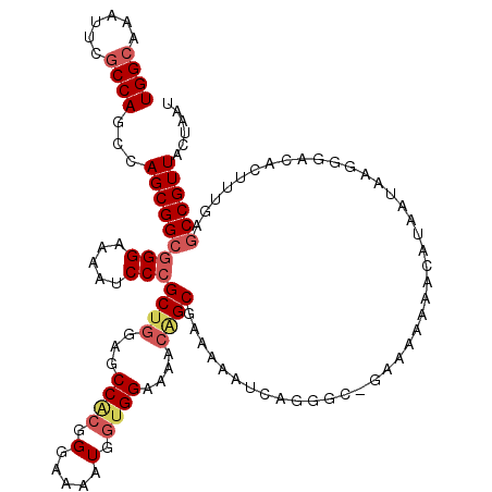 secondary structure