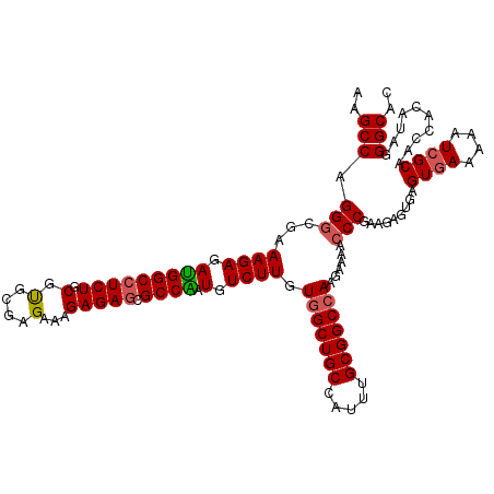 secondary structure