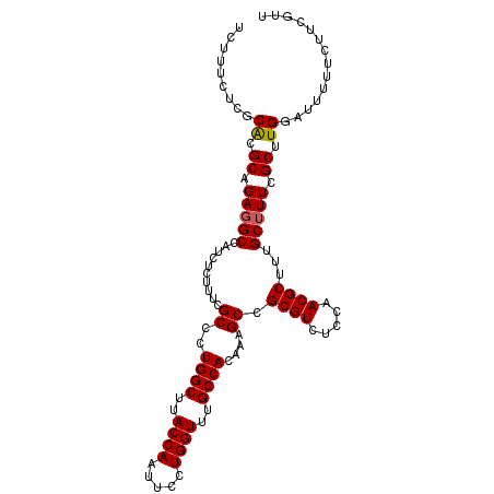 secondary structure