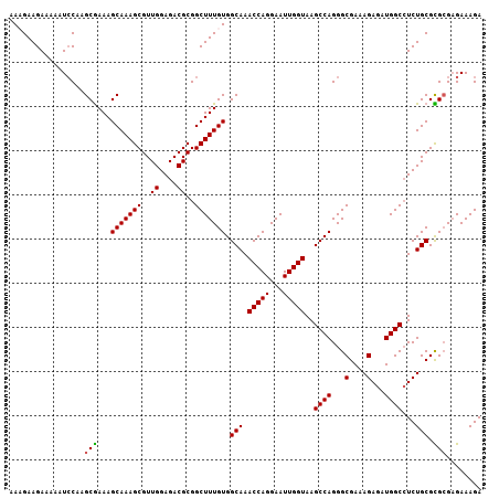 dotplot