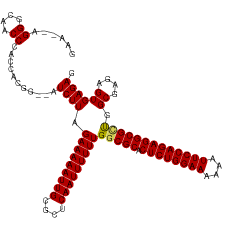 secondary structure