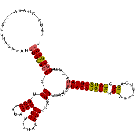 secondary structure