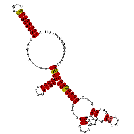 secondary structure