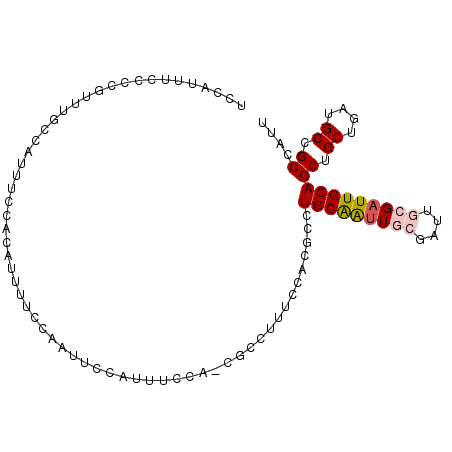 secondary structure