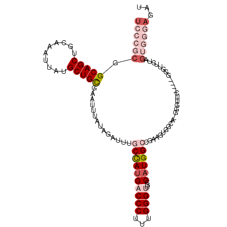 secondary structure