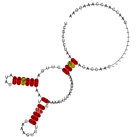 secondary structure