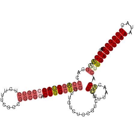 secondary structure