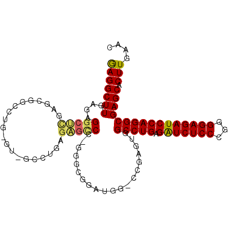 secondary structure