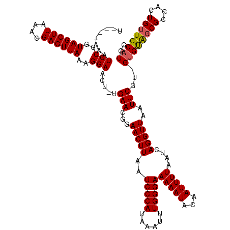 secondary structure