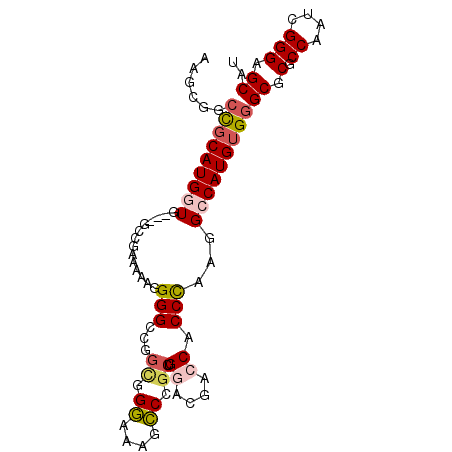 secondary structure
