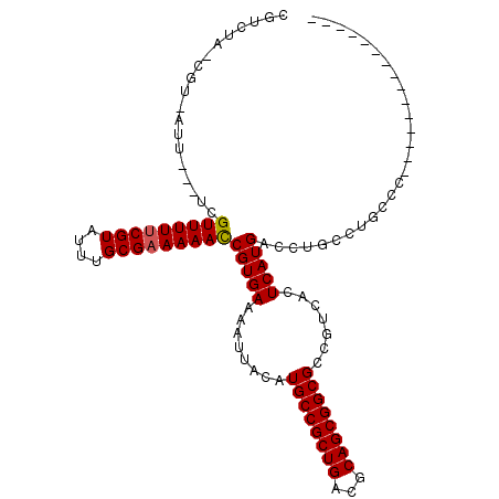 secondary structure
